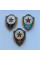 Значки отличники войск СССР