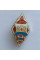 Нагрудный знак  ромб ЛГУБЖД