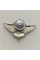 Нагрудный знак 95 ОАЕМБр
