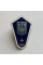 Нагрудный знак Поплавок Морского колледжа Украины