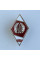 Нагрудный знак Ромб НУОУ