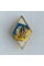 Нагрудный знак Ромб Национального университета обороны