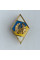 Нагрудный знак Ромб Национального университета обороны