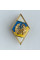 Нагрудный знак Ромб Национального университета обороны