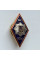 Нагрудный знак Ромб ОГУВД
