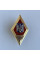Нагрудный знак Ромб ВИТИ имени Героев Крут
