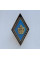 Нагрудный знак ромб ЧНУ 