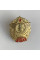 Знак Киевское суворовское училище 1992 год