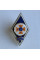 Знак Ромб ИГУГЗ