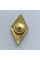 Знак Украины ромб НАПВ