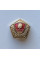 Значок СССР мастер умелец