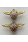 Знак Украины классность сухопутных войск