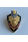 Знак Войска радиоэлектронной борьбы РЭБ Украины