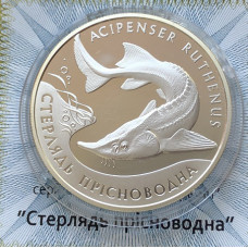 Серебряная памятная монета Украины 10 гривен Стерлядь 2012 года