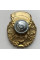 Знак Гвардия ВСУ