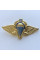 Знак Украины 25 ОПДБР