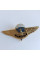 Знак Украины 79 ОАЕМБР