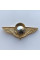 Знак Украины 79 ОАЕМБР