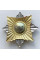 Знак Украины Инженерные войска