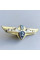 Знак Украины классность ВМФ 2 класс