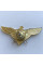 Знак Украины Летный состав 1 класс