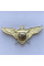 Знак Украины Летный состав 3 класс