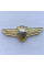 Знак Украины летный состав М