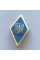 Знак Украины Ромб ВУЗ синий