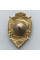 Знак ВС Украины Войска радиоэлектронной борьбы