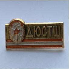 Значок СССР ДЮСТШ ДОСААФ