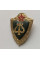 Значок СССР классный музыкант советской армии