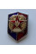 Значок СССР ВДПО